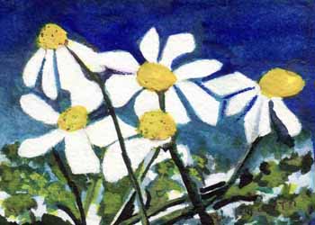 April Award - "Daisy Field" by Mary Lou Lindroth, Rockton IL - Watercolor